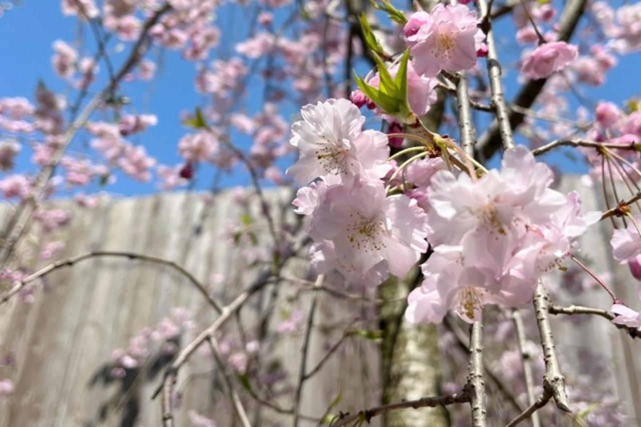 Machi No Odoriba Hotel Kanazawa Buitenkant foto